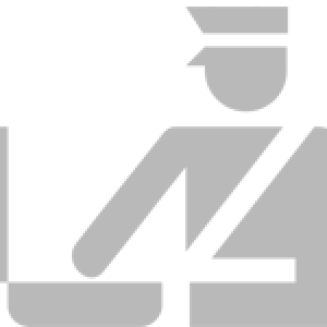 customs icon